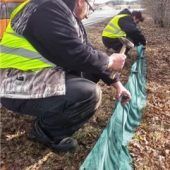 Frösche gehen  auf Wanderung