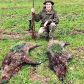 Zwei Wildschweine erlegt