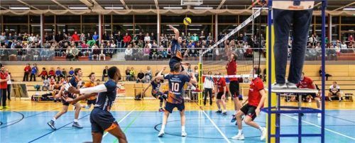 Ist die Halle hoch genug? Das ist nur eine der Fragen, die eine Rolle spielen werden, wenn die Mühldorfer in der zweiten Bundesliga aufschlagen. Foto bartsch