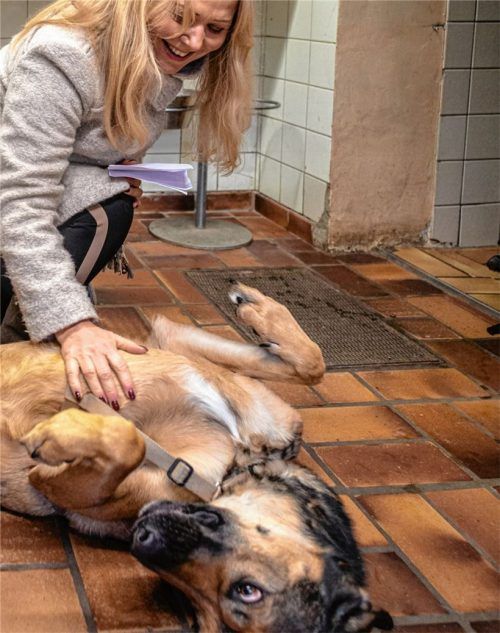 Kümmern sich auch weiterhin darum, dass es den Tieren an nichts fehlt: Andrea Thomas, Vorsitzende des Tierschutzvereins, und ihr Tierheim-Team. Foto Thomae