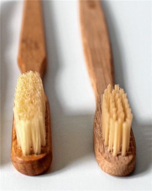 Nachhaltigkeit in der Zahnpflege: Biologisch abbaubare Zahnbürsten aus Holz mit recycelbaren Nylonborsten.
