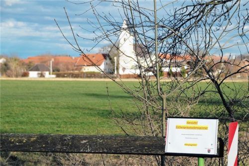 Schilder warnen jetzt bei Willing vor dem Eichenprozessionsspinner. In diesem Bereich gibt es noch einige Nester (kleines Bild). Fotos  Reisner