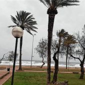 Corona: Gestrandet auf Mallorca