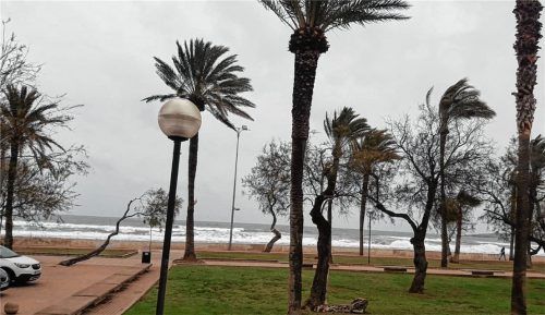 Wie ausgestorben: Wo sich sonst Menschen tummeln, herrscht jetzt gähnende Leere. In Mallorca dürfen die Touristen und Bewohner ihre Häuser nicht mehr verlassen.