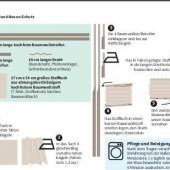 Schutzmasken für alle: Risiko oder nützliches Hilfsmittel?