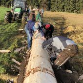 Die Maibäume bleiben erst mal am Boden