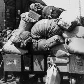 Mancher schwieg ein Leben lang