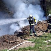 Zu trocken und zu windig: Feuerwehren mussten ausrücken
