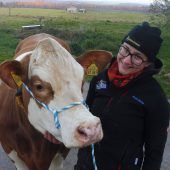 Milchbauern unter Druck