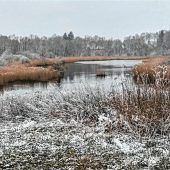 Still und starr ruht der Weiher