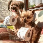 Tommy und Chico retten die Welt