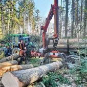 Einsatz gegen den Borkenkäfer