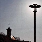 Scherenschnitt in der Morgensonne