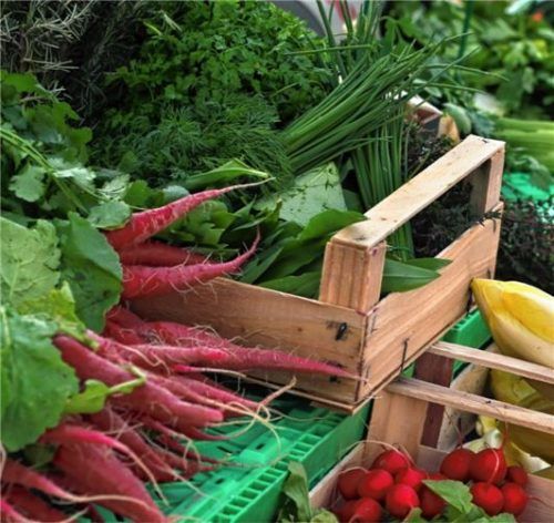 Auch in Zeiten der Corona-Krise liefert die Jolling Genossenschaft ihren Mitgliedern erntefrisches Gemüse. Foto DPA