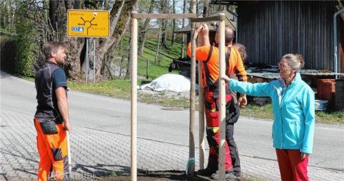 Bürgermeisterin Marianne Steindlmüller und die Männer vom Bauhof pflanzen einen neuen Bergahorn vor dem Wildenwarter FeuerwehrhausFoto Rehberg