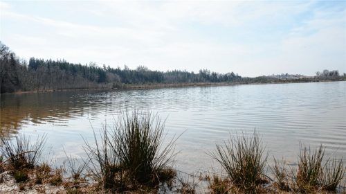 Der Hofstätter See und das angrenzende Burger Moos sind seit Jahrzehnten Schauplatz eines Streits zwischen den Stadtwerken Rosenheim, den Anliegergemeinden und der Schutzgemeinschaft Hofstätter/Rinser See. Foto Ammelburger