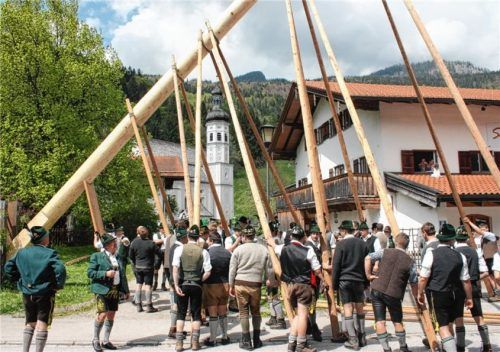 Der letzte Sachranger Maibaum wurde 2014 aufgestellt.Foto Rehberg