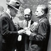 „Wir wollen hier Wurzeln schlagen“