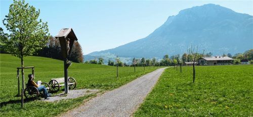 Ein Spaziergang geht immer auf dem Bippenwald-Areal – im Hintergrund die Naunspitze aus dem Wilden-Kaiser-Massiv.