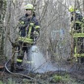 Kinder setzen Büsche in Brand