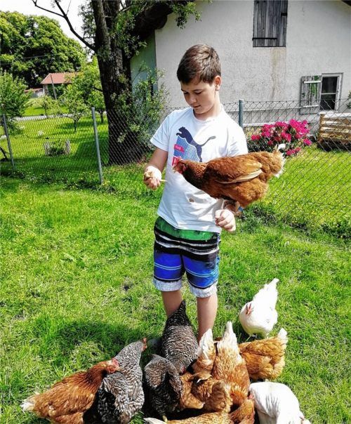 Florian Weidenspointner im Kreise seiner Hühnerschar. Lisa landet schon in Jagdfalkenmanier auf seiner Hand. Die Greifvogelschau in Aschau hat den jungen Wildenwarter zur Dressur seines Federviehs animiert. Foto Rehberg