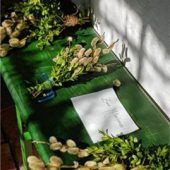 Die Kirche nach Hause bringen