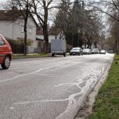 Alleebäume müssen weichen