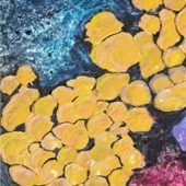 Coronavirus: gefürchtet, aber optisch schön