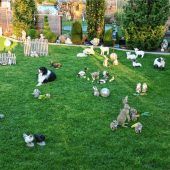 „Privatzoo“: Es darf geschaut werden