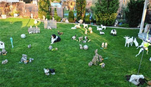 Rund 80 Tierfiguren „tummeln“ sich im Garten. Mittendrin wacht Hund „Tommy“. Fotos  Baumann