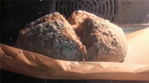 Sieht schon vielversprechend aus: Mein Brot aus Sauerteig und Hefe gebacken ist ein Gedicht.Foto Maier