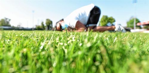 Was sagt denn der Rasen dazu, wenn gar kein Fußballspiel stattfindet? OVB-Sportredakteur Hans-Jürgen Ziegler als „Der Rasenflüsterer“ im Rosenheimer Jahnstadion, wo schon Weltmeister von 1954, 1974, 1990 und 2014 spielten.