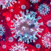 Corona: Angriff auf die Adern?