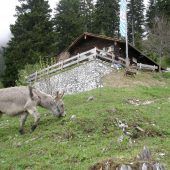 Hüttenwirte und Wanderer bangen um den Bergsommer