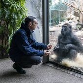 Der Tierpark braucht Hilfe
