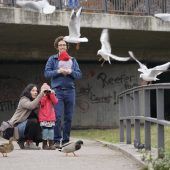 Gezwitscher aus dem Handy