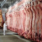 CSU gegen Erhöhung der Mehrwertsteuer auf Fleisch