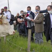 Drei Glocken müssen reichen