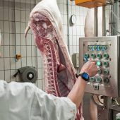 Wenig Corona-Infizierte in Bayerns Schlachthöfen