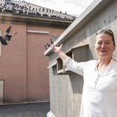 Das harte Leben der Stadttauben