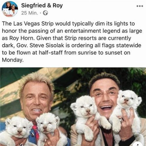 Auch die Neonlichter werden gedimmt, wie aus diesem Facebook-Post von Siegfried & Roy vom Freitag hervorgeht. Der Las Vegas Strip mit seinen Casino-Hotels gilt als der Inbegriff von Las Vegas.