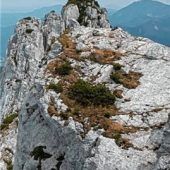 Steinschlag trifft Frau