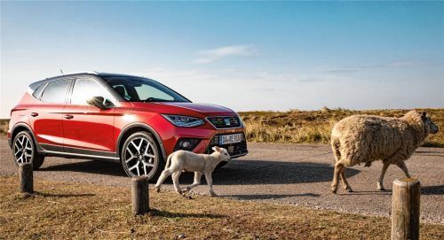 Der Seat Arona TGI ist der erste SUV mit CNG-Motor. Foto ampnet/Seat