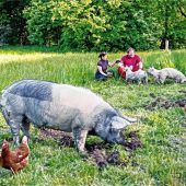 Zurück zu den Wurzeln