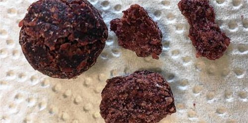 Die Untersuchung läuft: Diese übel riechenden, circa zwei Zentimeter großen Kügelchen hatte ein Weimaraner am Bärnsee gefressen. Derzeit wird im Labor analysiert, ob die Kugeln giftig sind.Foto E. Kalscheuer