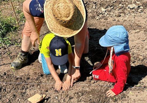 Im Abstand von jeweils zwei Kinderhänden werden die Erbsen ausgesät. Fotos  re