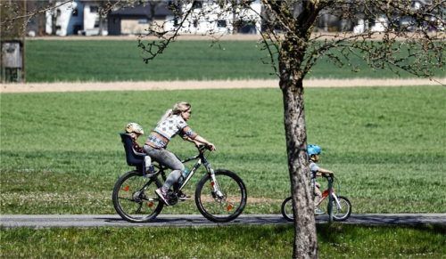 Kindersitze für Gepäckträger oder Lenker sind für Säuglinge tabu.