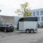 Ali Baba, Omas Bügelmaschine, Windeln