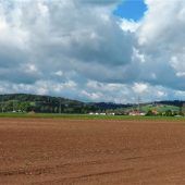 Am 5. Juli wird abgestimmt