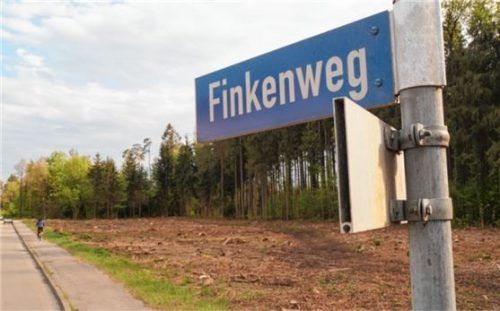 Schon vor dem 1. März wurden die Bäume am Finkenweg geschlagen, jetzt kann das Areal gerodet werden, weil die Stadt Baurecht geschaffen hat.Foto  Grundner